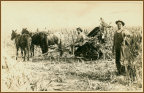 Photograph of farm scene