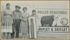 Shiflet & Shiflet Polled Herefords
