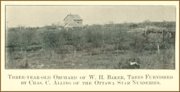 Three-year-old Orchard of W. H. Baker, Trees Furnished by Chas. C. Alling of the Ottawa Star Nurseries